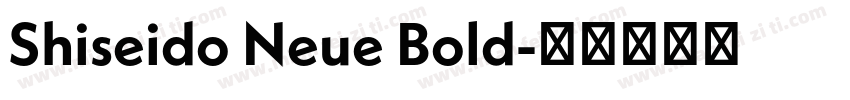 Shiseido Neue Bold字体转换